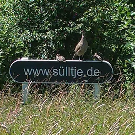 Huus Suelltje Loogkieker